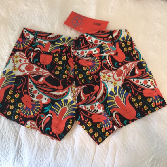 Tracy Negoshian Shorts - Picture 3 of 6